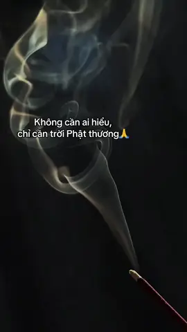 nguyện người luôn an #phatphapnhiemmau #phatphap #xh #phatgiaovietnam #xhtiktok 