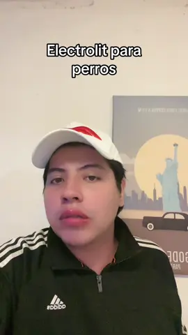 Electrolit de perro en Tepic Nayarit #Mexico #humor #risa #chiste #Meme viral comedia comediante latino probando catando gracioso reseña food foodie comida travel visit viaje dato contexto Estados Unidos polemica parati fyp foryou chisme