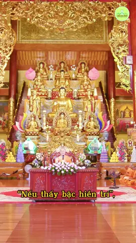 Tại sao Đức Phật dạy: Người chỉ lỗi cho mình đang là chỉ kho báu !@Cúc Vàng Tỉnh Thức #phatphap #phatphapnhiemmau #phatphapvobien #phatphapungdung 