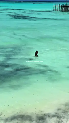 aloneaholic  #dnd #fyp #travel #zanzibar 