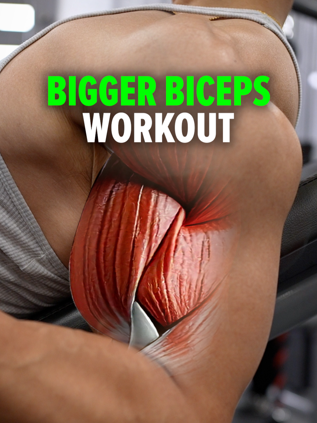 Size & Shred Training program 👉🏻 deltabolic.com (link in bio) ✅DO THESE to Build BIGGER BICEPS! If you want bigger-looking biceps, you’ll need to hit all three key players: the short head for width, the long head for thickness from side view, and the brachialis, which pushes the long head up to make your biceps look even bigger. Here’s a simple workout to target each: Concentration Curls – 3 sets of 10 reps (short head focus) Cross-Body Hammer Curls – 3 sets of 10 reps (brachialis focus) Incline Dumbbell Curls – 3 sets of 10 reps (long head focus) All of these exercises train the whole biceps complex, but each one shifts more emphasis toward a specific muscle. #biggerbiceps #bicepsworkout #bicepworkout