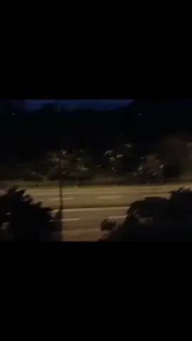 #oakwood #midwestemo #riff #guitar #fy