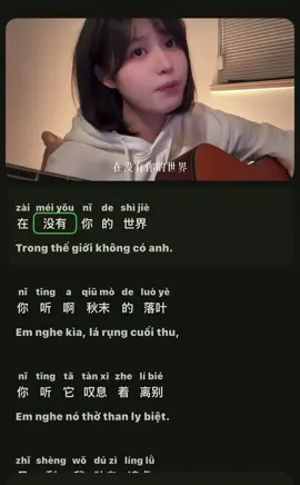 Có những nỗi nhớ chẳng cần nói ra, chỉ muốn cùng ai đó ngủ quên trong mùa đông này… ❄️💤 #D#DongMienC#CoverDongMienN#NhacTrungS#SadSongTrendTikTok