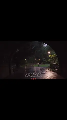 #قصايد #pppppppppppppppp #اكسبلور #السعودية #العراق 