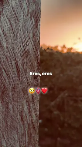 Eres Cristian nodal #cristiannodal #paratii 