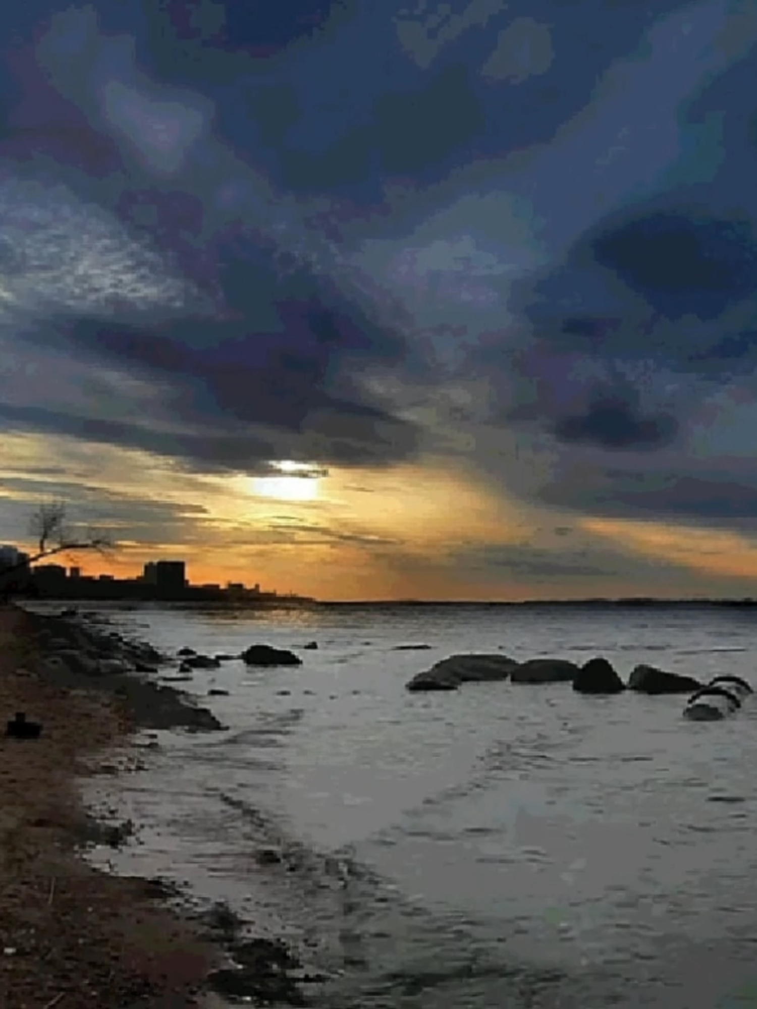 No, I'm not a Human - intro #noimnotahuman #ninah #nostalgia #fyp #ninaminhadog