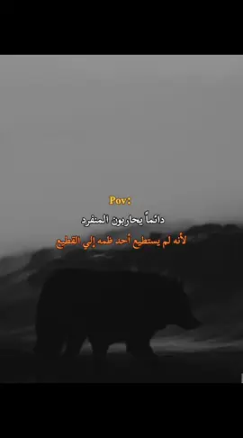 دائماً يحاربون المنفرد لأنه لا أحد يستطيع ظمه إلي القطيع ٠٠💀✅ #تصميم_فيديوهات🎶🎤🎬 #خواطر_للعقول_الراقية #عبارات_جميلة_وقويه😉🖤 #كبرياء_رجل #السفاح 