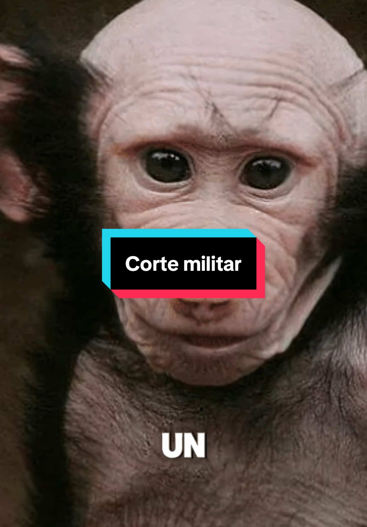 Corte militar
