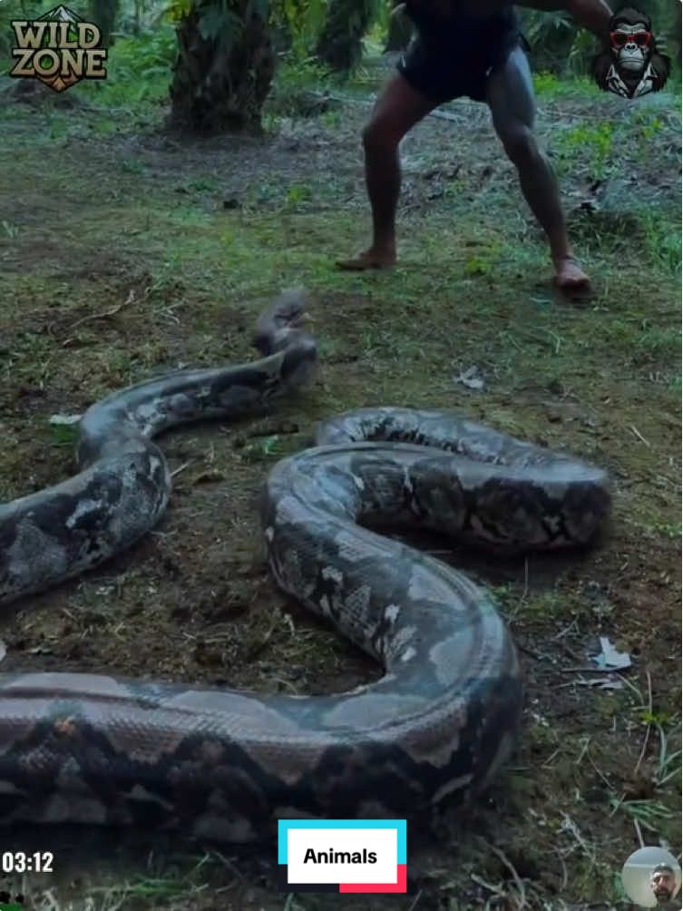 Animals moments #animals