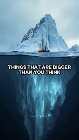 Things That Are Bigger Than You Think 😯 #iwonderalot