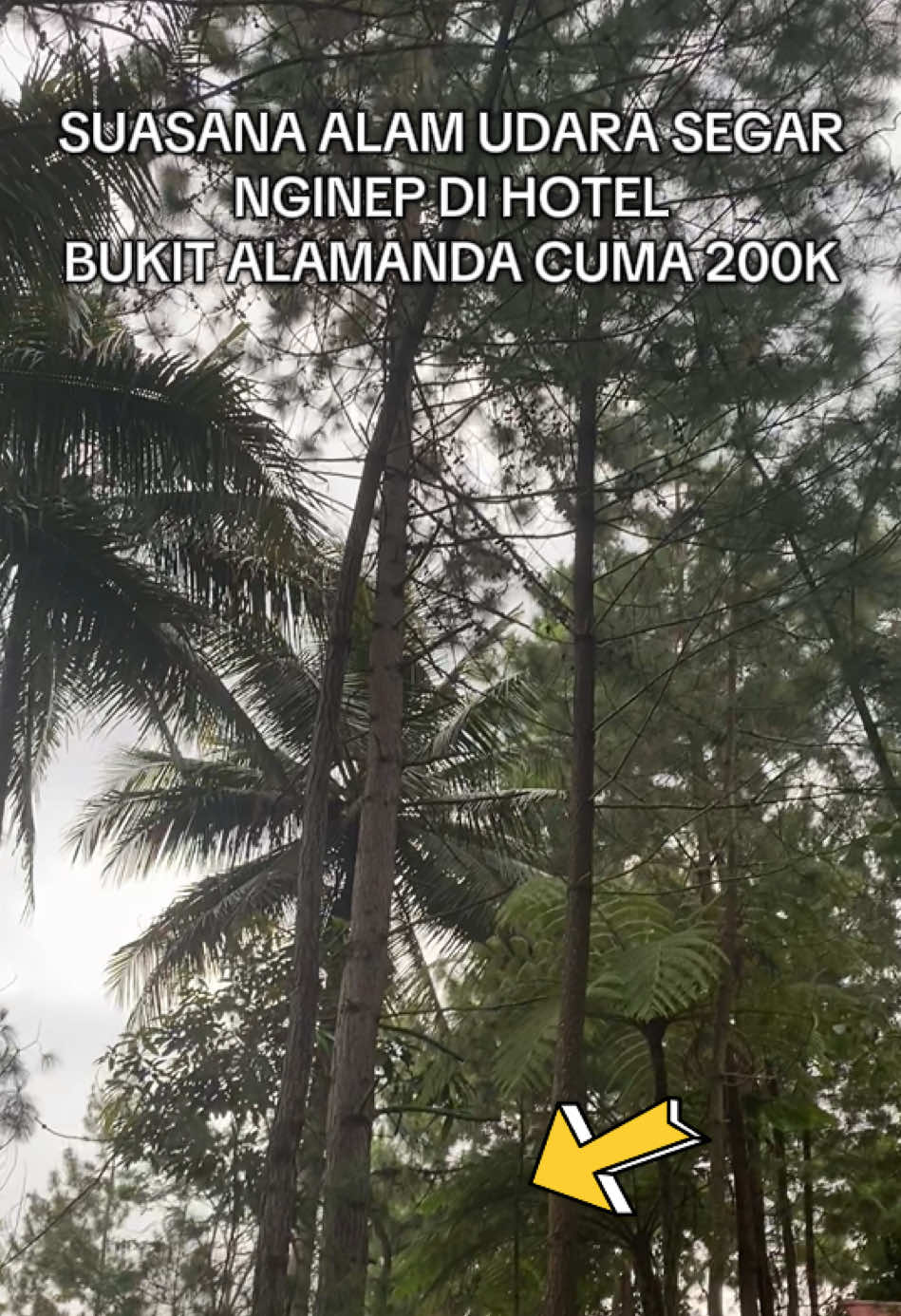 Rekomendasi Hotel, Resot & Resto di Garut dengan View Pegunungan dan Alam, Cocok untuk Healing #tiktokgo #voucherhotelmurah #promodiskon 