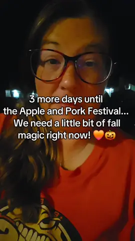 I am getting so excited for this year. I think it is giving me something to look forward to. ❤️ #illinois #food #fleamarket #appleandporkfestival #appleandpork 