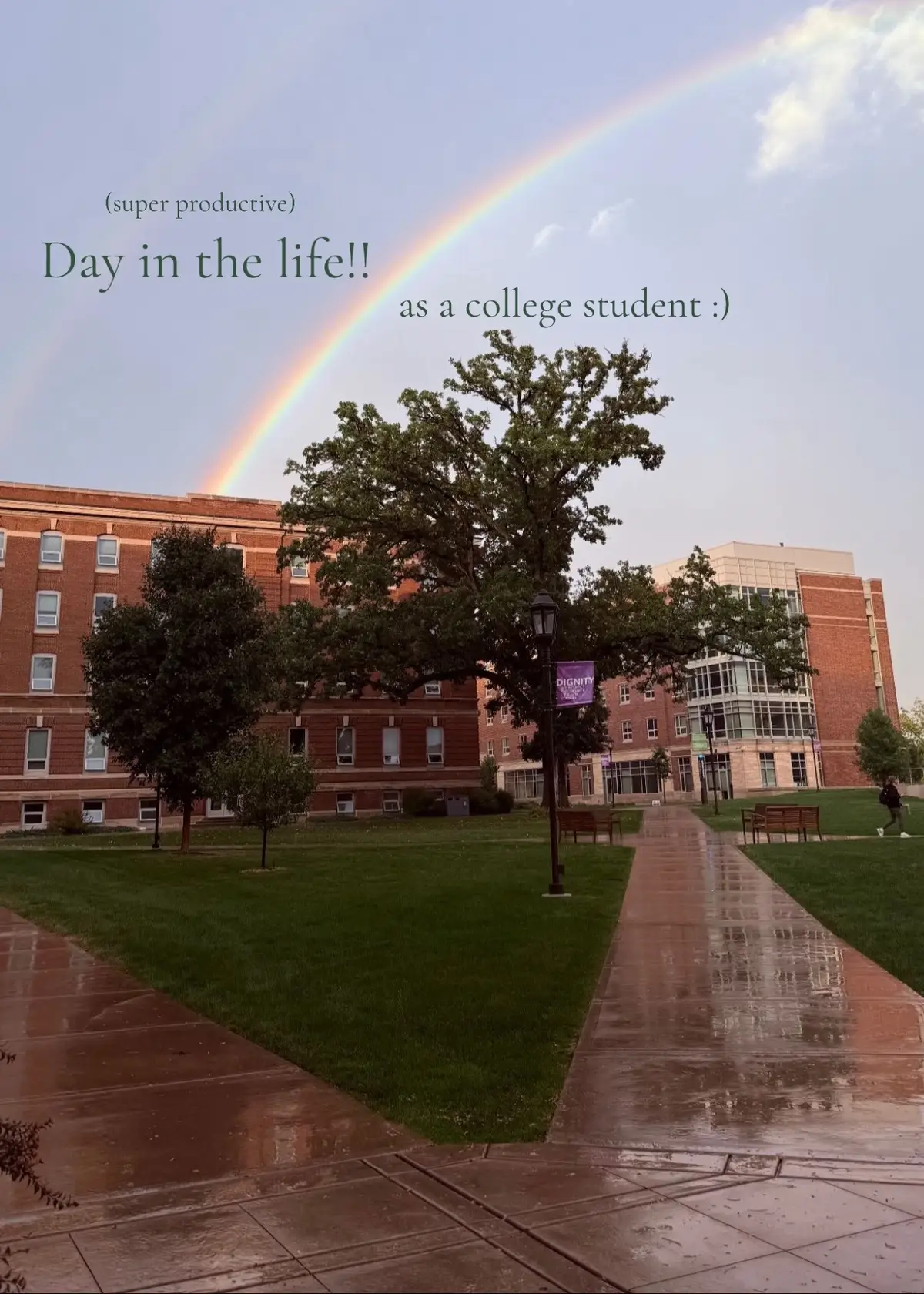 #ditl #ust #universityofstthomas💜 