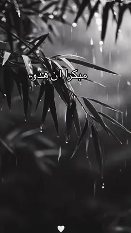 🤲🫶 الحمد لله دائما وأبدا🤲🫶