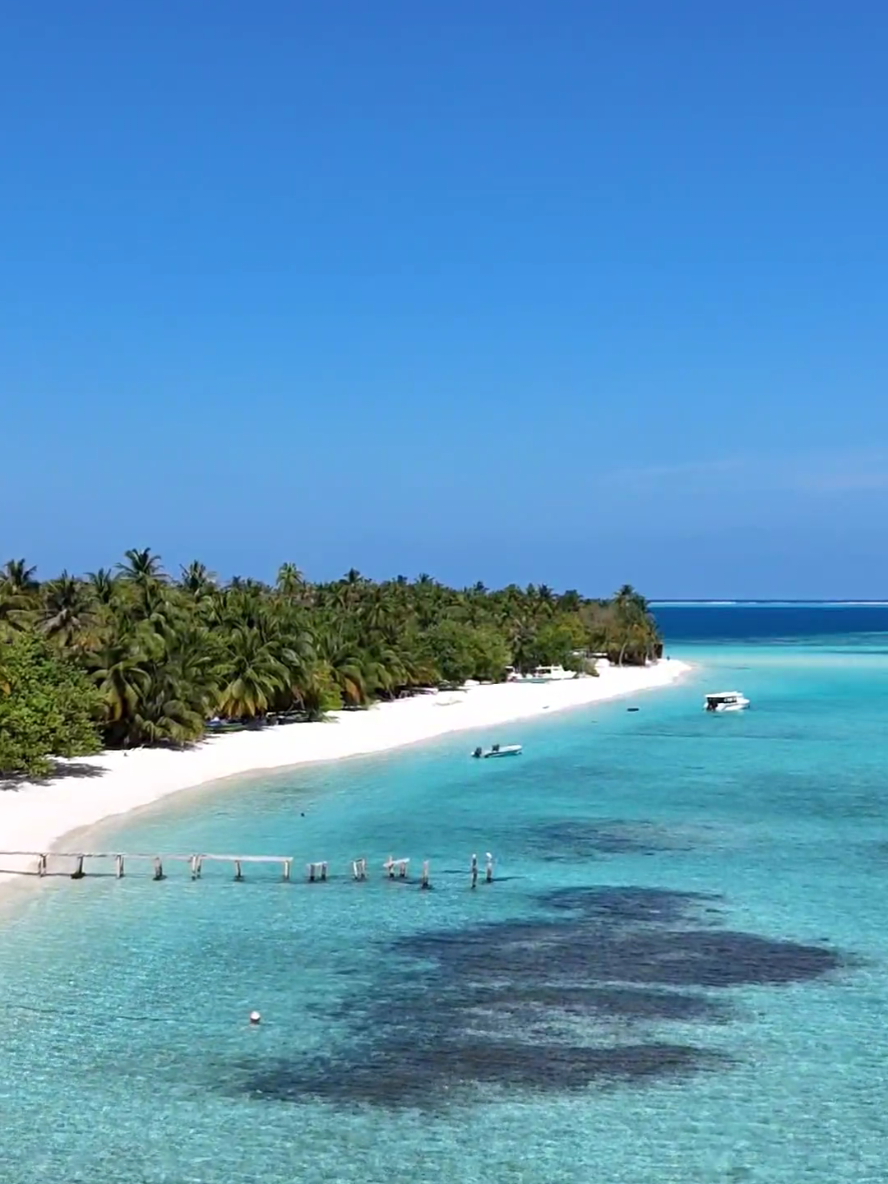 A beautiful day again... #creatorsearchinsights #tiktokcreatorpilotprogram #tiktokcreator #maldives #himandhoo 