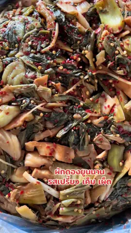 ผักกาดดองยูนนาน ผักกาดดองเปรี้ยว #ผักกาดดอง #ผักดองยูนนาน #ผักกาดดองยูนนาน #ผักกาดดองเปรี้ยว #ผักกาดดองโคตรกรอบ🥬 