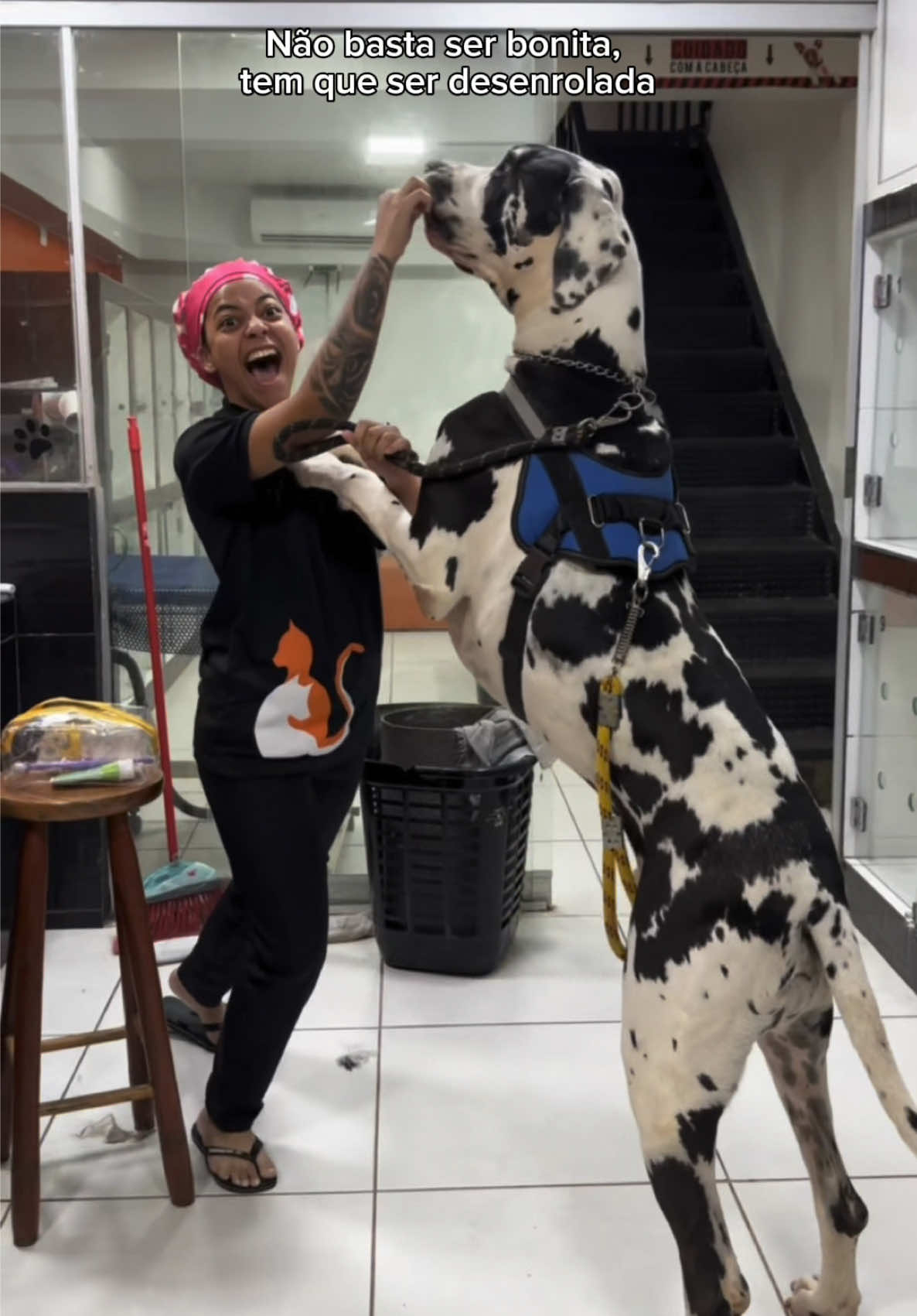 Duas skin ✨💕🐶 #cachorro #petshop #viral #fyp 