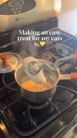 These were a hit with both of my cats!🥰♥️ #cattok #cooking #catsoftiktok #homemade #FoodTok 