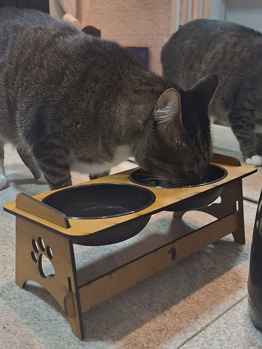 Esse comedouro e bebedouro elevado evita esforço na hora das refeições, ajuda na digestão e ainda deixa o cantinho do seu pet super estiloso. #comedouro #bebedouro #pet #mundopet 