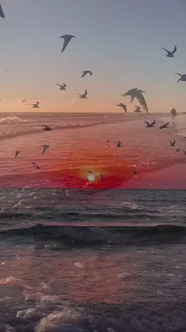 #꧁BuenasNoches😴 #jime2809🇺🇾🌹 #parati🦋 