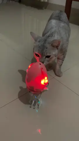 Mainan gurita joget murah #guritajoget #guritamenari #mainananak #mainanmurah  