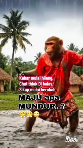 Maju apa mundur..? #monkey #contentcreator #fyp #saundviral #katakata 