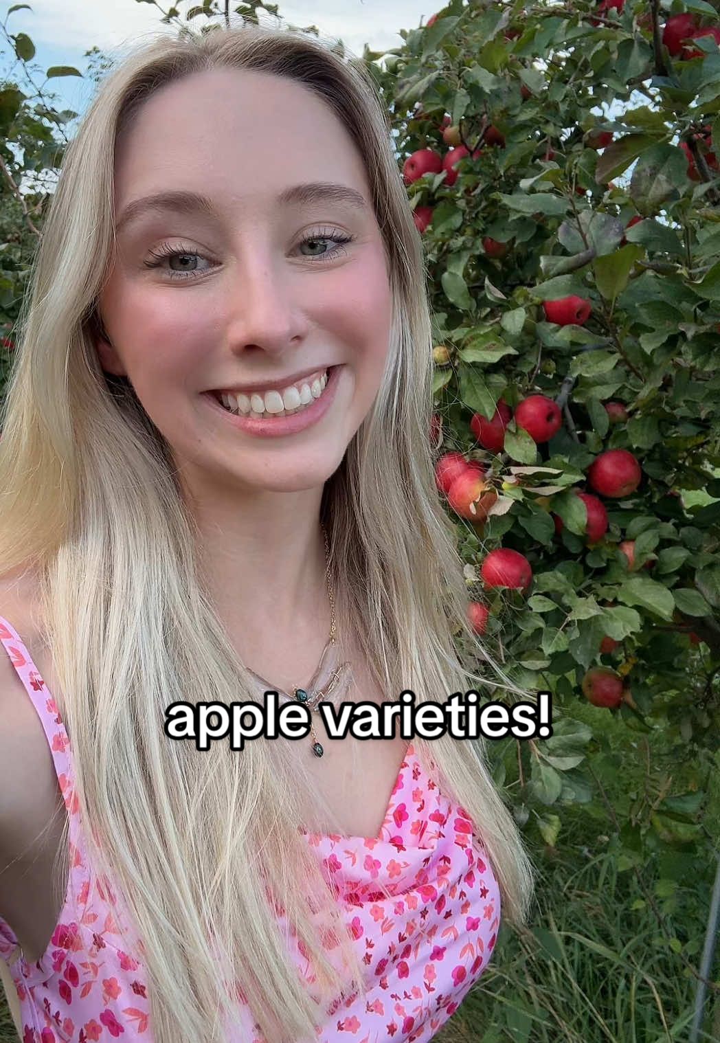 did you know that there’s 7500 apple varieties grown around the world?! yummy!! dip them all in caramel!! #fyp #nature #Outdoors #Hiking #apples 