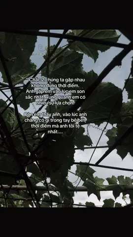 Phần 348 | #xuhuong #thluan11 #tinhyeu #story #fyp 