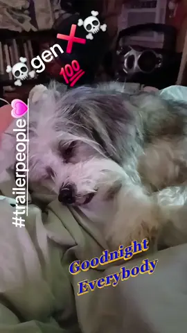 #☠️gen❌️☠️ #trailerpeople💗 #PetsOfTikTok #mentalhealthmatters #genx 