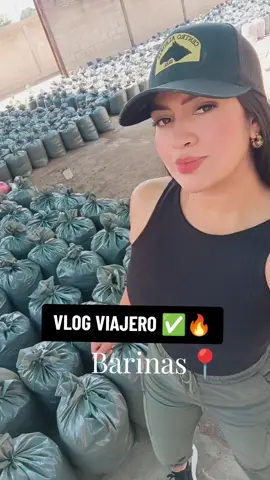 VLOG viajero en AgropecuariaGG 💯✅✅✅ estamos ubicados en Guanarito Portuguesa carretera nacional salida de la Hoyada diagonal a Cucho Colina ✅📍 #fyp #cerdos #afrecho #Agro #paratiiiiiiiiiiiiiiiiiiiiiiiiiiiiiii 