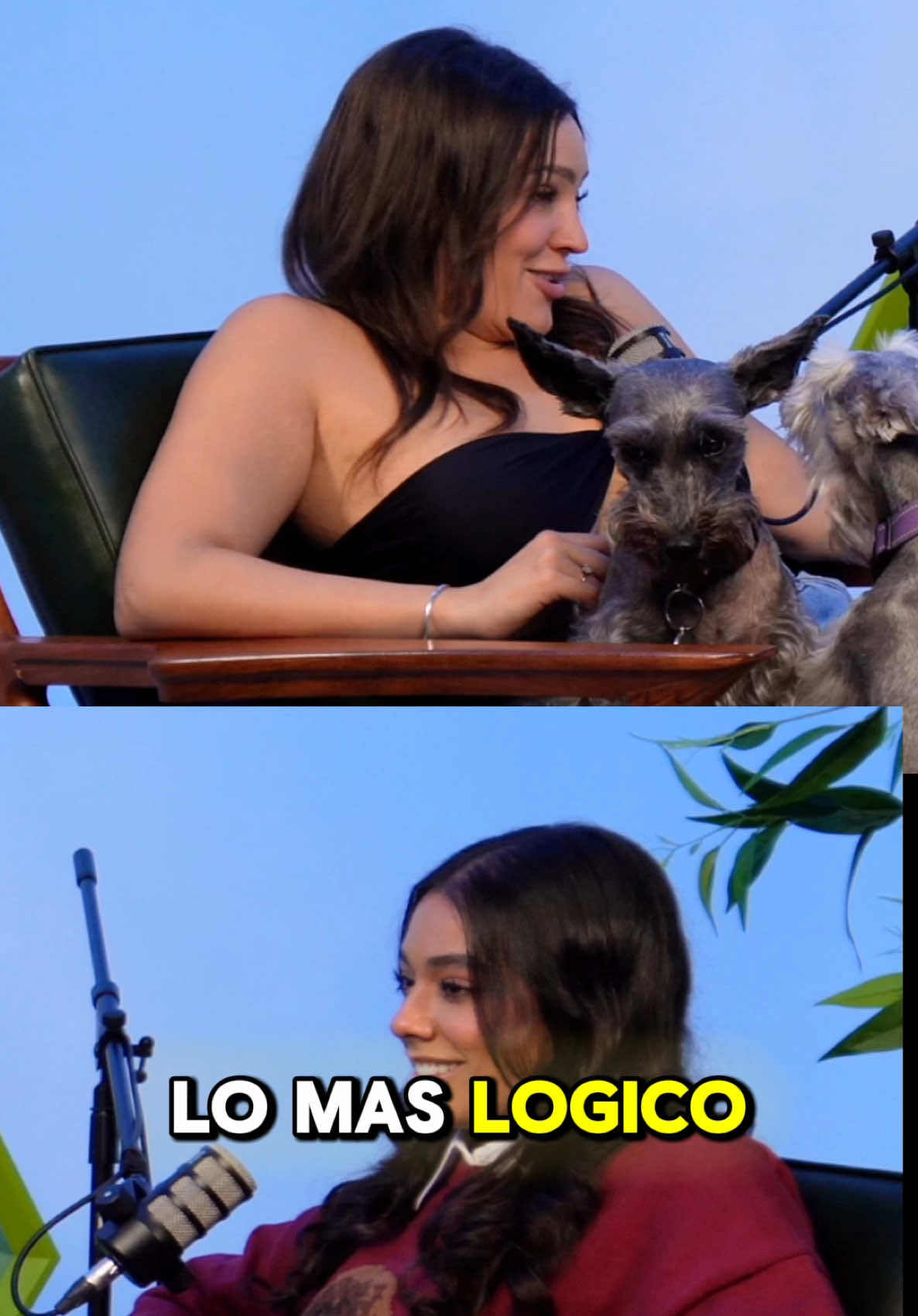 Pero… ¿si son o primos o no? 😅 #humor #MisTraumasMisChistes #comedia #podcast 