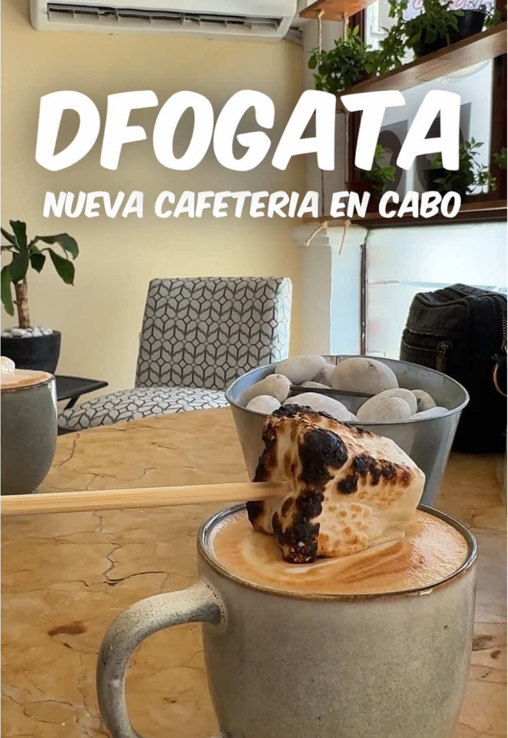 Ya conoces @dfogata_mx ? Si aún no los conoces tienes que ir a visitarlos 🔥 📍ubicación:  Arcos del sol II, caribe 142. Aún lado de Plaza Patios. Atrás de KFC aún lado de Mariscos Mochis.