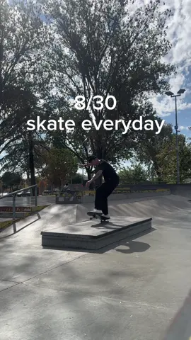 Skateboarding everyday for 30 days, day 8. one flip, one grind, one slide. still trying to get no repeat tricks #Skateboarding 