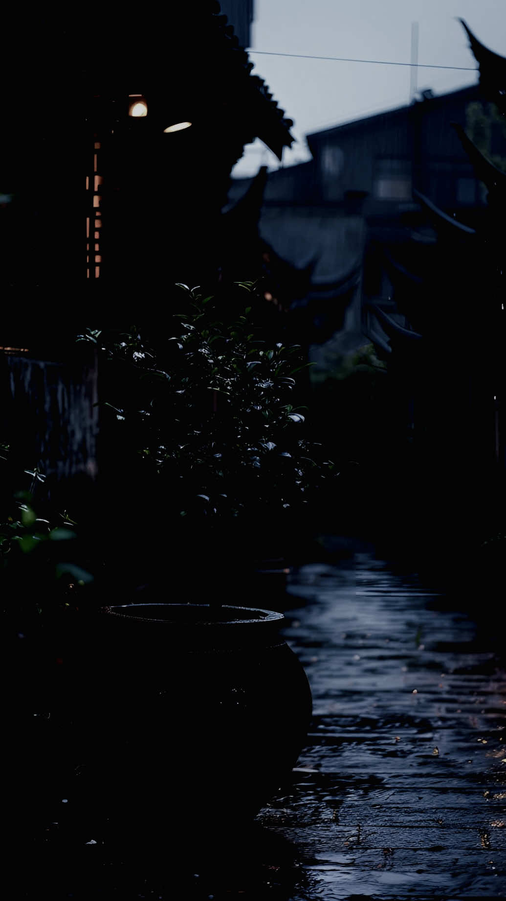 Nhìn lại chặng đường bao năm đi qua #sbtentertainment #fyp #nhacremix #nhachaymoingay #CapCut 