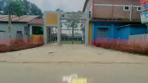 🎀আমাদের স্কুল 🎀