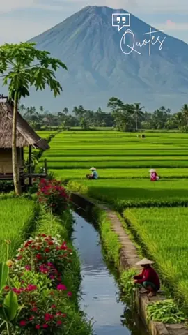 Belajarlah Pada Konsep Hidup Ini #indonesia🇮🇩  #fyppppppppppppppppppppppp  #anomali  #lembaranbaru 