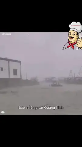 Xiêu bảo tới rồi ae