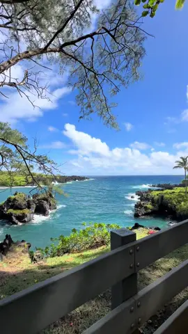Road to Hāna🌴🌺🍍🦜  #Maui #Hawaii #Hiking #roadtohana #capcut 