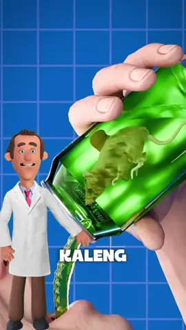 ada tikus di dalam minuman #edukasi #fyp #faktamenarik 