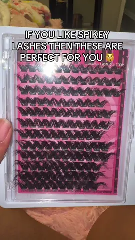 #hohadbrlashes #lashes #spikeyclusters #fypシ #foryoupage 