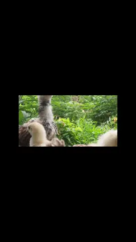 Kayo man Ang pinakayaman dito sa lupa,Peru sa mata ng Diyos kayo Ang pinaka kawawa na nilalang.#viral #dutertelegacy #vpindaysaraduterte #indaysara #solidduterte🇵🇭👊 