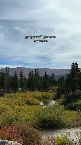 💜 #motivationalvideo #motivationalquotes #fypquotes #mountainscape 