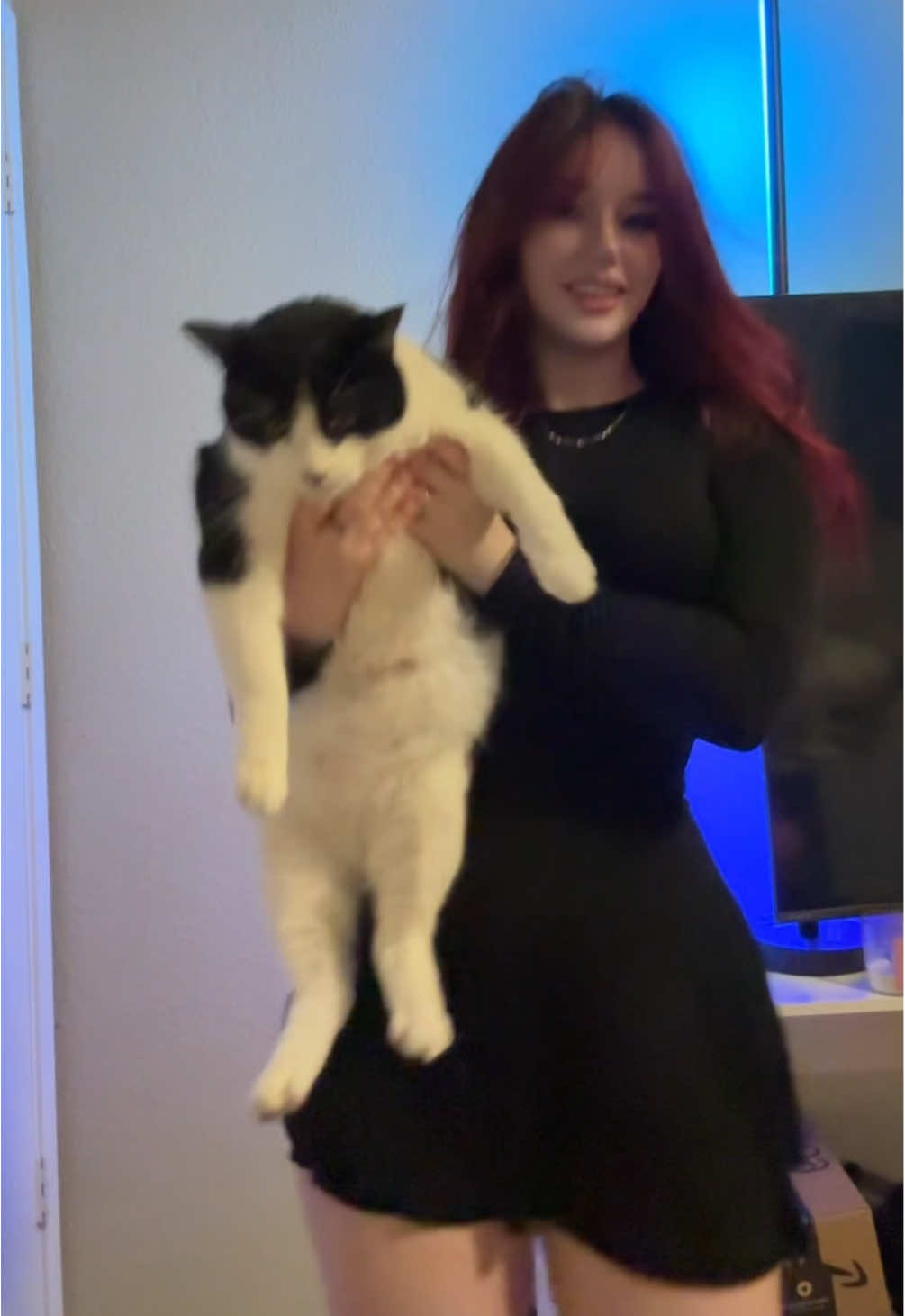 Comically large cat or comically small girl 