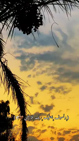 ولسوف يعطيك ربك فترضى #باسم_الكربلائي_رادود_ما_له_مثيل #تصويري_احترافي_الاجواء👌🏻🕊😴 
