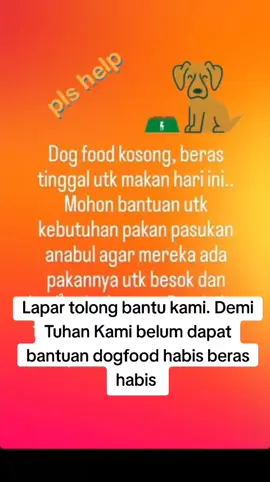 anak anak ini kelaparan belum dapat bantuan sama sekali untuk makan anabul. #fyp #doglover #lapar 