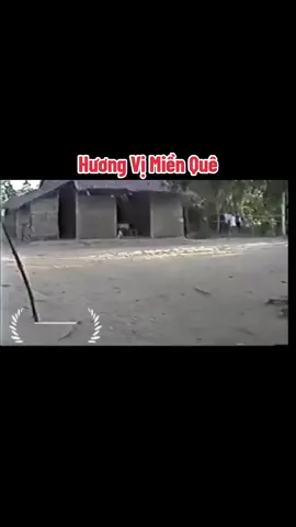 Khung cảnh miền quê xưa.Chúc mn có giây phút xem clip hay và ý nghĩa.#mienquexua #mientayquetoi #hoainiem #kiniemtuoitho #kíucxua 