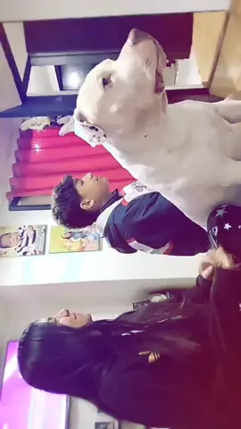 el 🐶🤍 @Laura @@fp_fxp7 