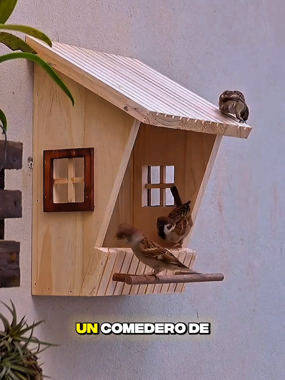 ❌Te muestro como hacer esta casita para pajaritos 🐦🏠 ✅Más proyectos como este en mi perfil 💯