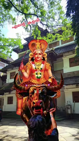 #1190  #🕉️ആവണേങ്ങാട്ടിൽ007🕉️  #🕉️വിഷ്ണുമായസ്വാമി🕉️  #🕉️🔱തൃശ്ശൂർക്കാരൻ007🔱🕉️  #🕉️avanangattil🕉️ 