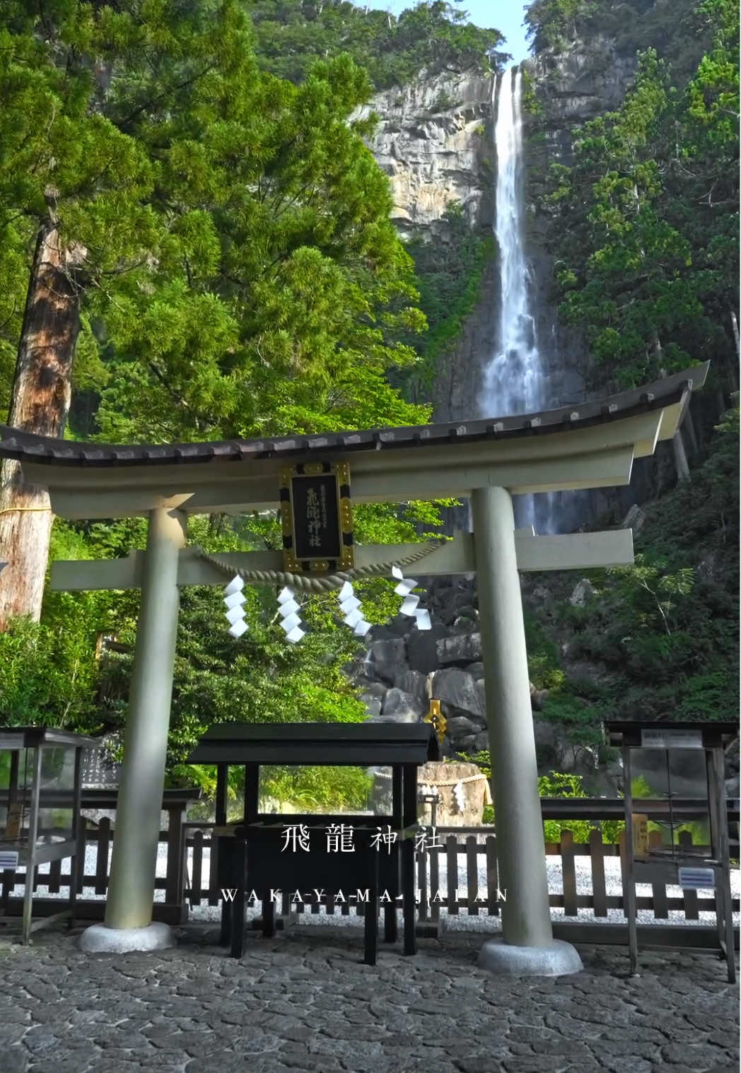 📍飛瀧神社/Hirō Shrine 世界遺産・熊野の霊場 落差133mの那智の滝そのものを御神体とする飛瀧神社⛩️ World Heritage, Sacred Land of Kumano Hirō Shrine⛩️, where the awe-inspiring Nachi Waterfall—133 meters tall—is worshiped as the deity itself. #飛瀧神社 #那智の滝 #和歌山 #japan